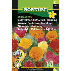 Guldvalmue frø, Thai Silk Mix