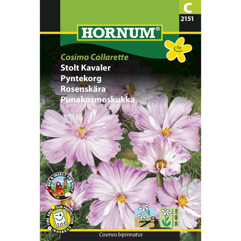 Stolt Kavaler frø, Cosimo Collarette