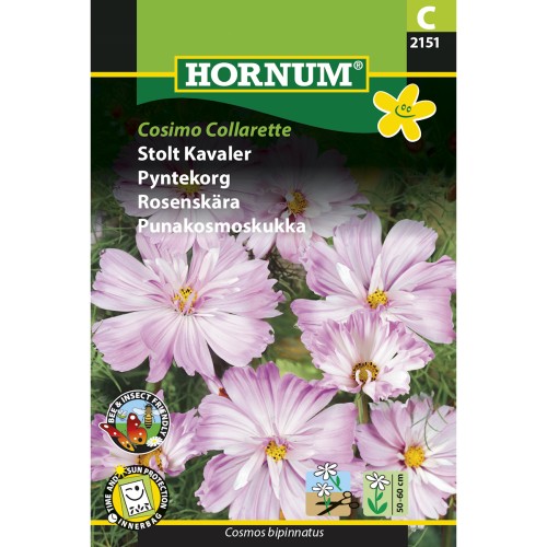 Stolt Kavaler frø, Cosimo Collarette