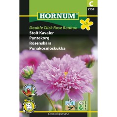 Stolt Kavaler frø, Double...