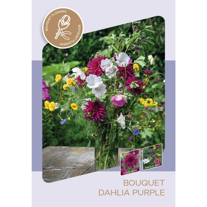 Buket Sæt - Lilla Dahlia & Frø