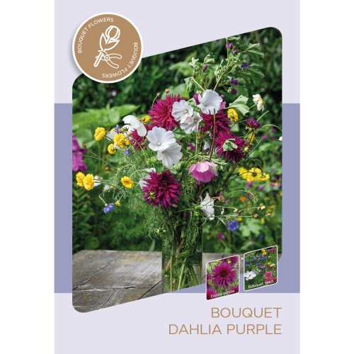 Buket Sæt - Lilla Dahlia & Frø