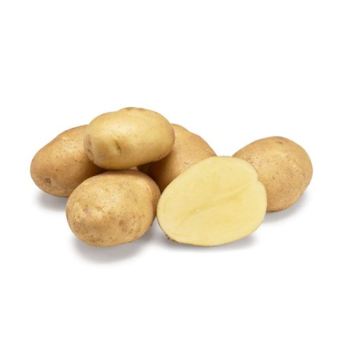 Fontane (Pommes Frites) Læggekartofler 5 Kg. - Middeltidlig