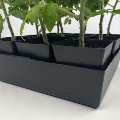 ABC Plant Starter - Sæt