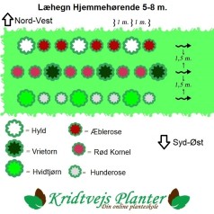 Læhegn med Hjemmehørende Træer og Buske (Lav) 3 rækker a. 30 meter.