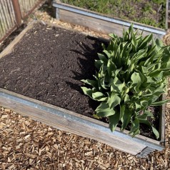 Økologisk & spagnumfri Pilekompost 1500 liter XL-Bigbag