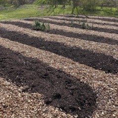 Økologisk & spagnumfri Pilekompost 1500 liter XL-Bigbag