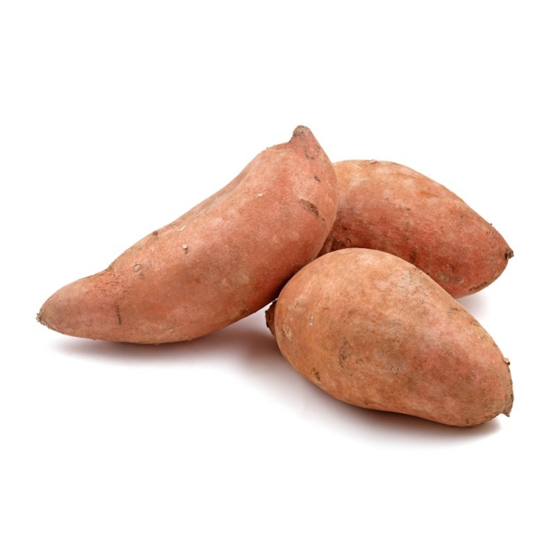Sød kartoffel Orange - Ipomea batatas Vineland Orange