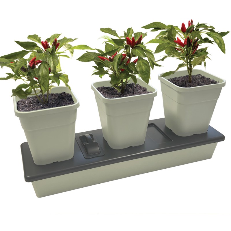 Triogrow - Selvvandingspotter