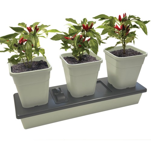 Triogrow - Selvvandingspotter