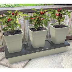 Triogrow - Selvvandingspotter