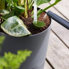 Indendørs Selvvandingspotte - Greensense Aqua Care