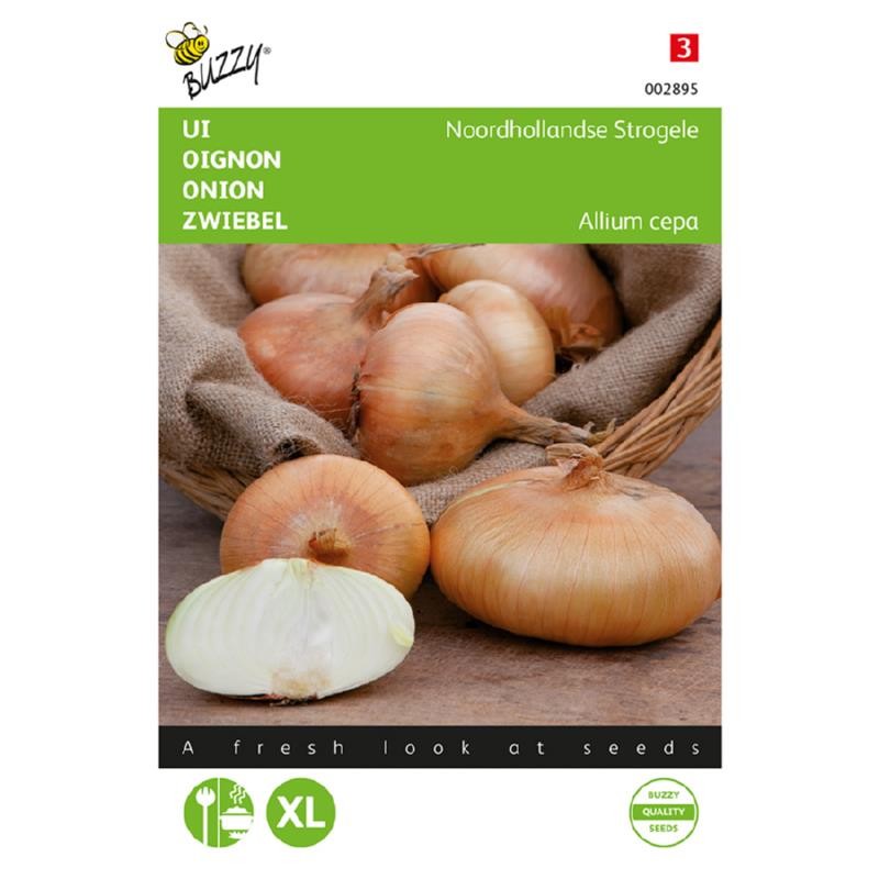 Løgfrø, Noordhollandse Strogele - Buzzy