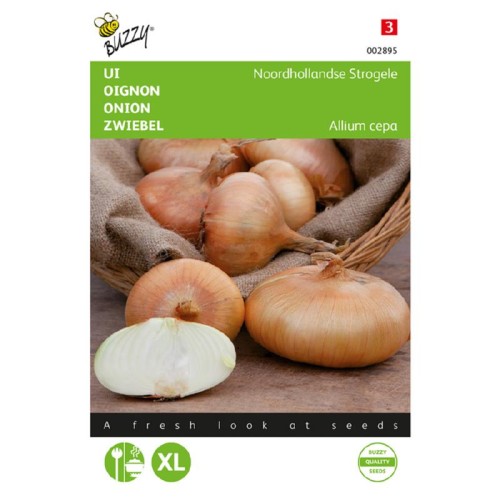 Løgfrø, Noordhollandse Strogele - Buzzy