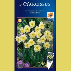 Narcissus Smiling Twin - Botanisk Pinselilje / 5 Løg