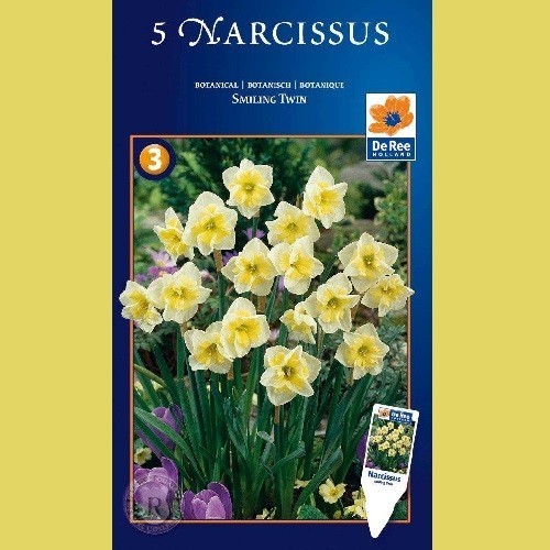 Narcissus Smiling Twin - Botanisk Pinselilje / 5 Løg