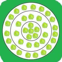 Sommerhusbed med tørketolerante planter - 5 m² Færdigbed - Indeholder 9 Varianter