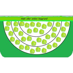 Cottage garden inspireret bed - 5 m² Færdigbed - Indeholder 9 Varianter