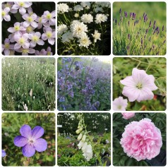 Cottage garden inspireret...