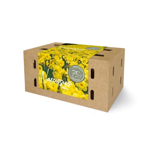 Påskeliljeløg - Farmers Market Box 75 Løg