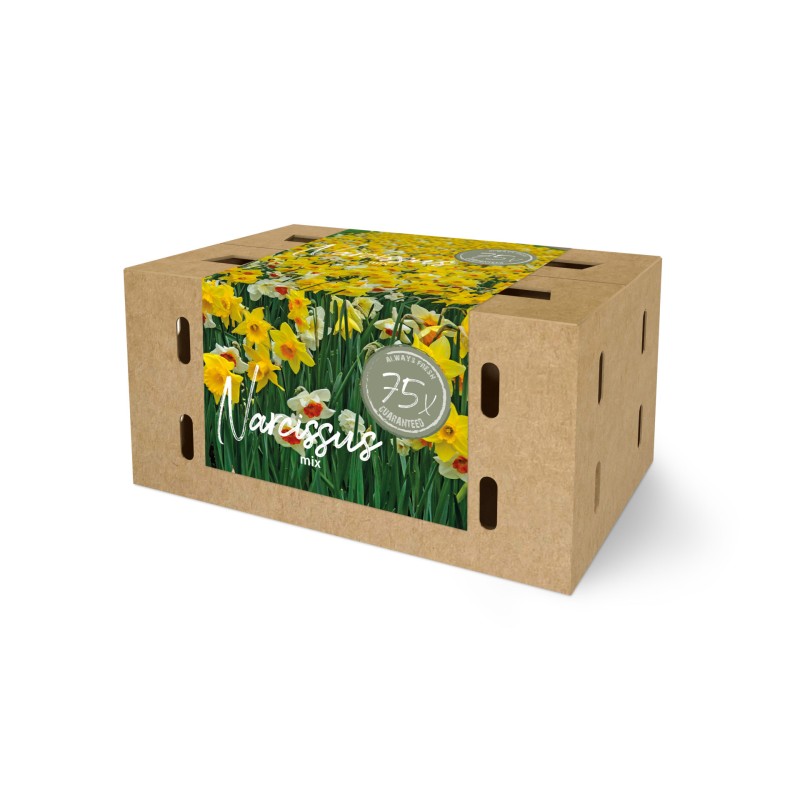 Påskeliljeløg Mix - Farmers Market Box 75 Løg