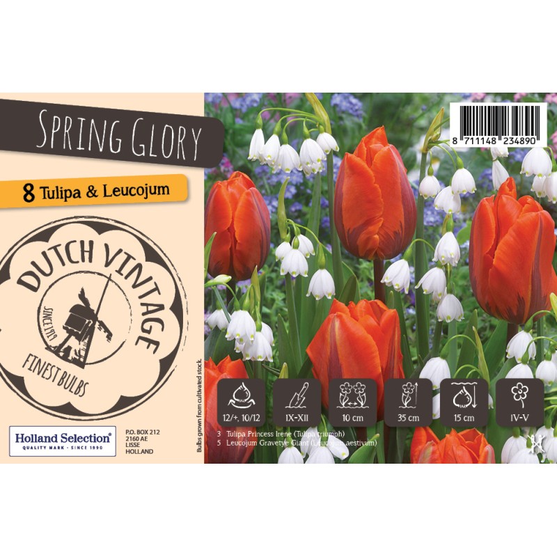 Blomsterløg mix - Spring Glory, Dutch Vintage 8 løg