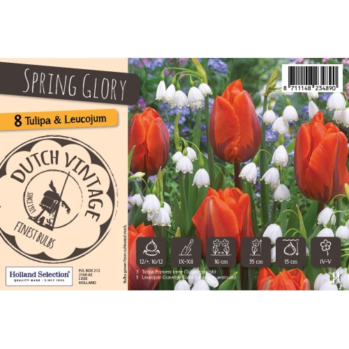 Blomsterløg mix - Spring Glory, Dutch Vintage 8 løg