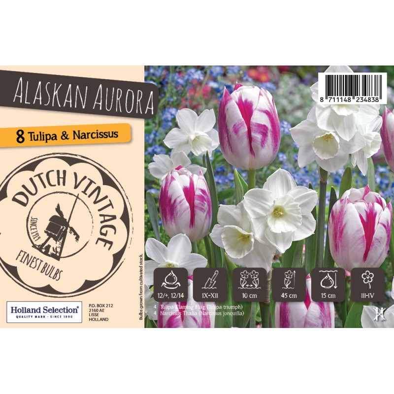 Blomsterløg mix - Alaskan Aurora, Dutch Vintage 8 Løg
