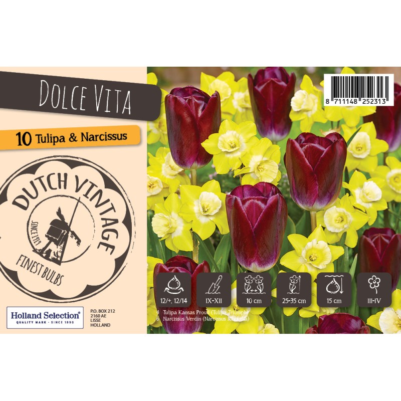 Blomsterløg mix - Dolce Vita, Dutch Vintage 10 Løg