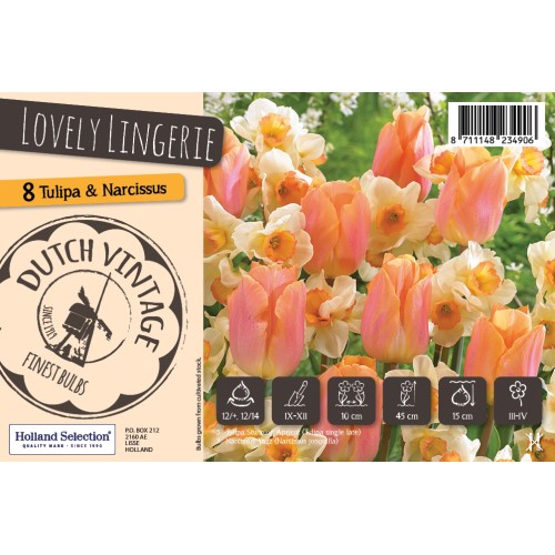 Blomsterløg mix - Lovely Lingerie, Dutch Vintage 8 Løg