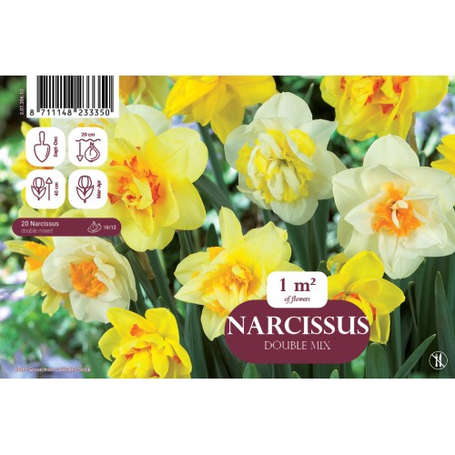 Påskeliljeløg - Narcissus Double Mix, Landscape 20 Løg