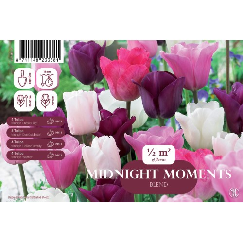 Tulipanløg mix - Midnight Moments, Landscape 16 Løg