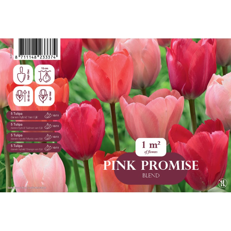 Tulipanløg mix - Pink Promise, Landscape 20 Løg