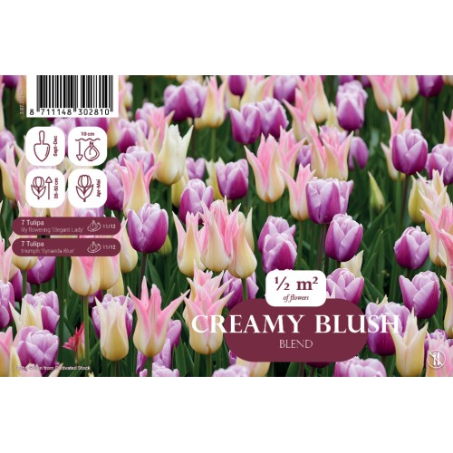 Tulipanløg mix - Tulipa Creamy Blush, Landscape 14 Løg