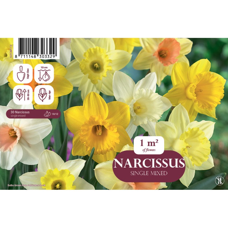 Påskelilje mix - Narcissus Single Mix, Landscape 30 løg