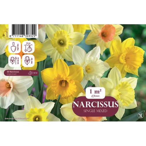 Påskelilje mix - Narcissus Single Mix, Landscape 30 løg
