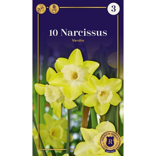Botaniske Påskeliljeløg  - Verdin, Supreme 10 Løg