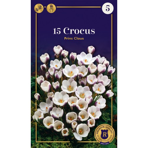 Krokusløg - Prins Claus, Supreme 15 løg