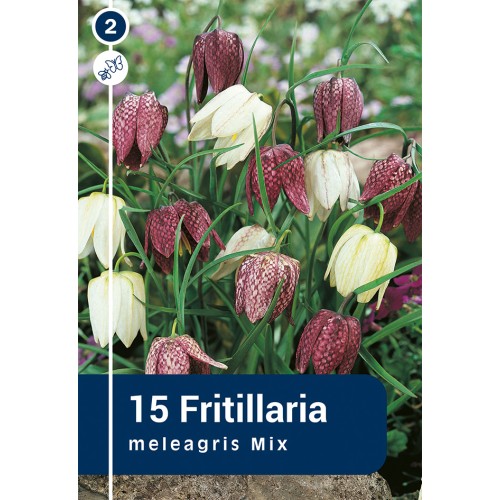 Vibeæg mix / Fritillaria meleagris, Master 15 Løg