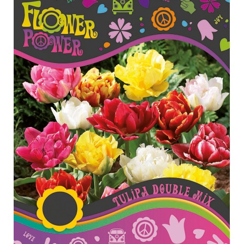 Tulipanløg Double mix - 8 Løg - FlowerPower