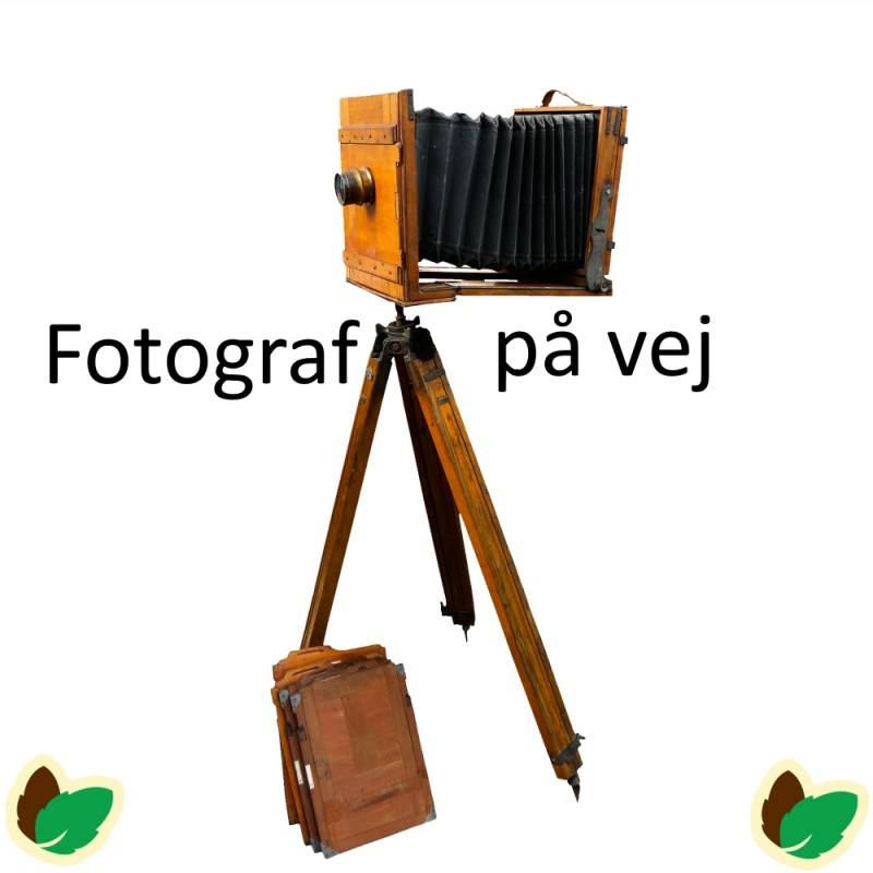 Julekort, Vilhelm Hansen 6 stk