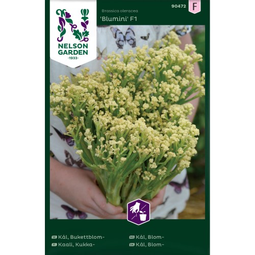Blomkål frø, Blumini F1