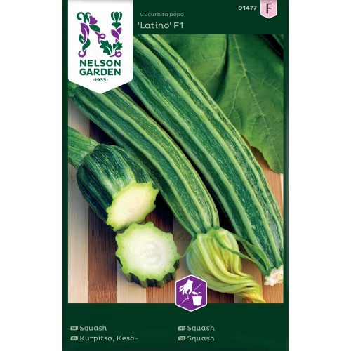 Squash frø, Latino F1