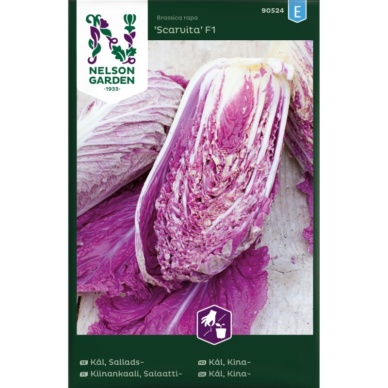 Kinakål frø, Scarvita F1