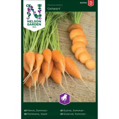 Sommergulerods frø, Oxheart