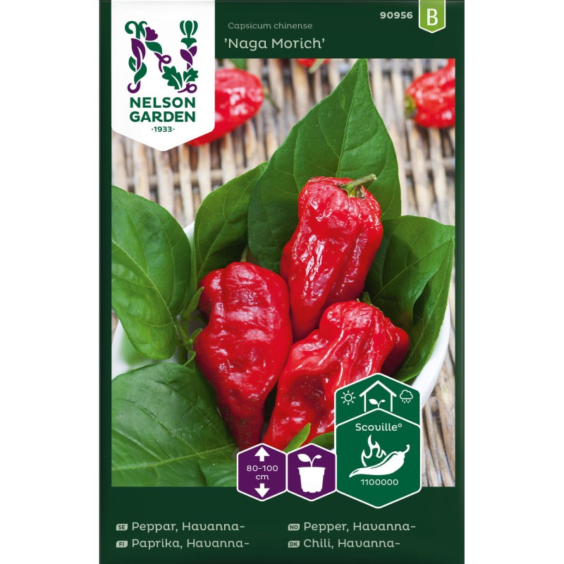 Chilifrø, Naga Morich