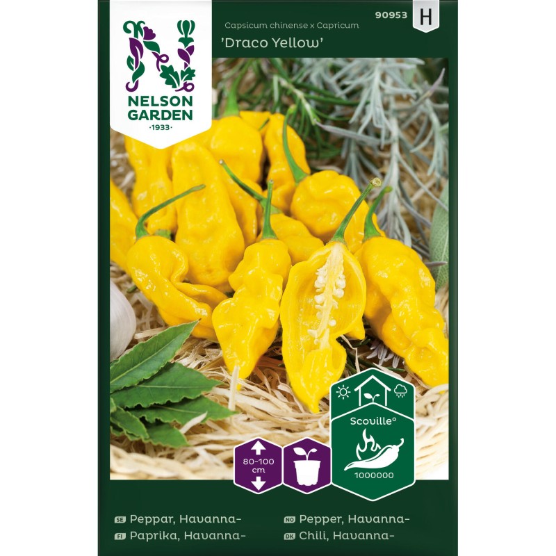 Chilifrø, Draco Yellow