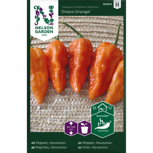 Chilifrø, Draco Orange