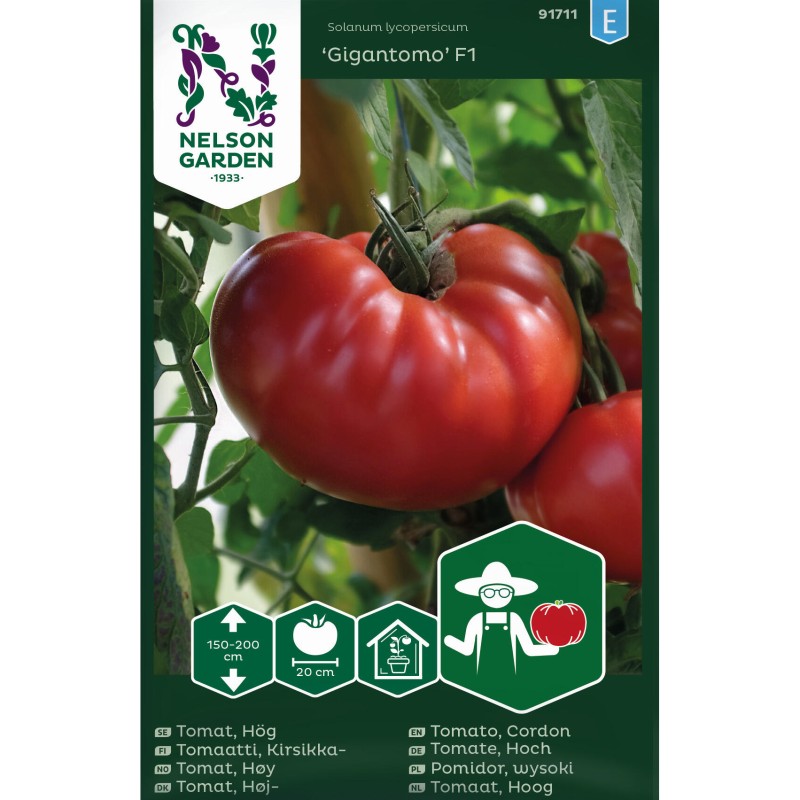 Bøftomat frø, Gigantomo F1