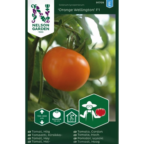 Bøftomat frø, Orange Wellington F1